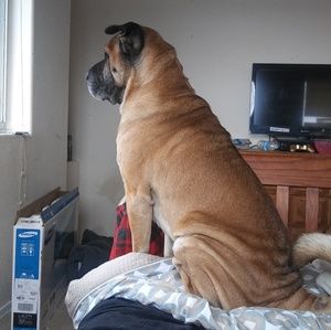 Meet your Posher, Patrick